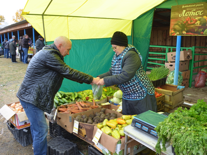 ​Ярмарка «Золотая осень» и конноспортивные соревнования на приз губернатора Забайкалья пройдут в Чите